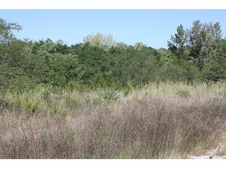 Property photo 45 - 419 +/- Acres offered in 6 Tracts, Land Auction